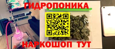 герыч Новодвинск