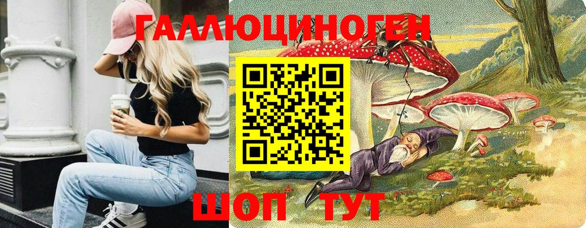Псилоцибиновые грибы GOLDEN TEACHER Туапсе